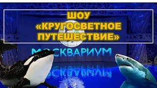 МОСКВАРИУМ. ШОУ «КРУГОСВЕТНОЕ ПУТЕШЕСТВИЕ».Oceanarium in Moscow