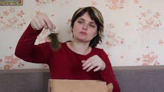 Новости канала Хомки + 2 посылки