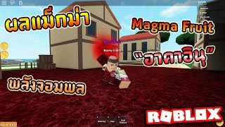 ROBLOX Steve's One Piece EP4 : ผลแม็กม่า หมัดลาวาพิฆาต MaguMagu no mi