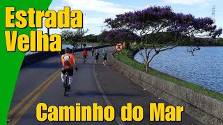 Estrada Velha - Dicas p/ Gordo: Bike pra Gordo? - Ciclofaixa