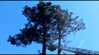 Videolu Haber | Bulancak Belediyesi Park Bahçe Çalışmalarına devam ediyor.