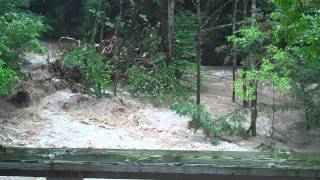 Creek 2pm