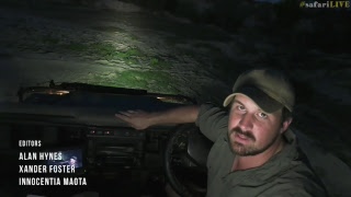 safariLIVE - Sunset Safari - Nov. 1, 2017