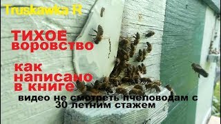 Пчёлы. Одна из самых распостранённых ошибок "опытных" пчеловодов. Пасеку потерял - книгу не читал!