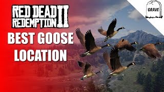 Best Goose Location Red Dead Online | Daily Challenge RDR2