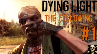 Dying Light The Following | Gtx 980 Ti SLI | Playthrough Acer X34 Predator