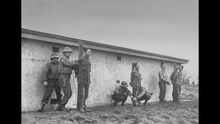Казнь военных преступников (расстрел) +18 /Execution of war criminals