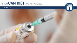 TPHCM cạn kiệt vắc-xin phòng dại | VTC1