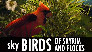 Skyrim Mods: skyBirds, Birds of Skyrim, Birds and Flocks