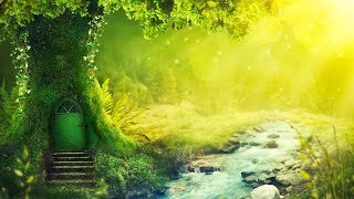 Relaxing Music 24/7, Reiki Music, Meditation, Healing, Zen, Spa, Yoga, Study, Sleep, Calm Music