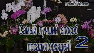 Самый лучший способ посадки орхидей  Фаленопсис  Часть 2. Закрытая система!