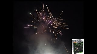 Pyroweb Bellis - Neuheit Silvester 2018-19