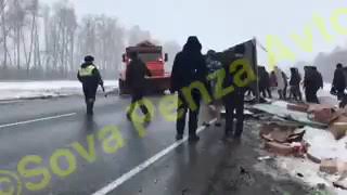 Мясное ДТП под Каменкой