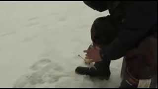 ПОДЛЕЩИК Зимняя рыбалка