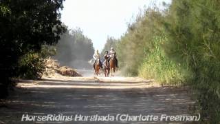 Галоп компанией на лошадях с конюшней HorseRiding Hurghada (Charlotte Freeman)