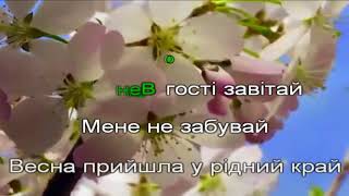 Весна прийшла караоке