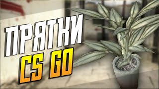 CS:GO - СЕКСУАЛЬНЫЙ ЦВЕТОК!