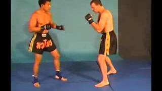 MMA   Muay Thai MMA Technique #8 mma videos mma videos mma mma
