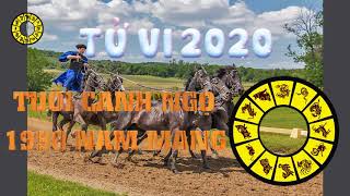 TỬ VI NĂM 2020 TUỔI CANH NGỌ SINH NĂM 1990 NAM MẠNG