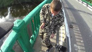 ИПУТЬ  Рыбалка с моста