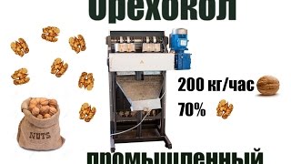 Орехокол промышленный конусного типа сжатия - Эталон