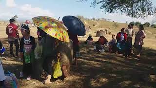 Xov xwm tshiab. nyab muab riam nkaug tub 1.12.2019