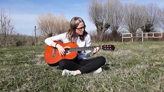 Animal Instinct - The Cranberries (Acoustic Cover)