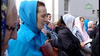В Санкт-Петербурге освятили и подняли купол и крест на часовню в честь иконы Спаса Всемилостивого