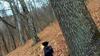 Беру 2-х кабанов в одном загоне!
