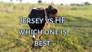 Jersey vs HF details