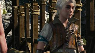 The Witcher 3 [PC] GT 630 1GB DDR3 & Intel Dual Core E5700 & 4 GB RAM | Low End PC