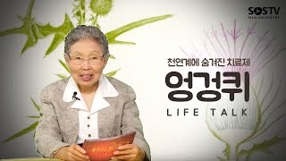 엉겅퀴 천연계에 숨겨진 치료제(엉겅퀴효능) [라이프 토크 79회] - 여병주 의사