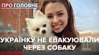 Українці з собакою заборонили виліт з Уханя, Про головне