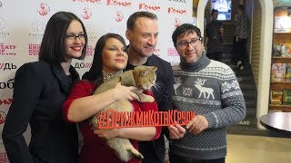 Прижми кота к груди!