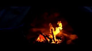 Звуки огня. Звуки ночного леса. Звуки природы. Crackling fireplace. Nature sounds forest. HD video