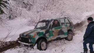 Стандартные нивы в зимнем лесу.