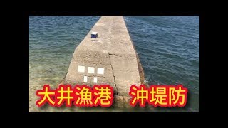 大井漁港　知多半島人気海釣りポイント　愛知釣りマップ