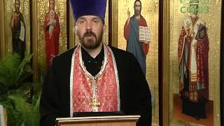 11 июня. Свт. Лука (Воин-Ясенецкий) исп., архиеп. Крымский