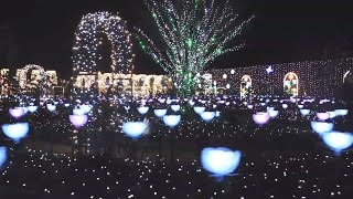 Meet the FURUSATO Tokyo、Gunma、Ibaraki、Tochigi（EN）