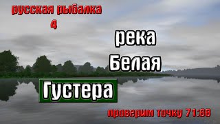 Русская рыбалка 4(рр4) - река Белая. Густера.
