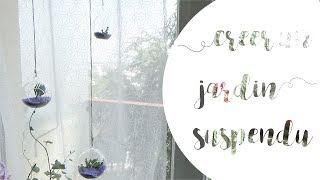 DIY #1 : Créer un jardin suspendu d'intérieur avec des succulentes