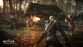 [60fps] Witcher 3 - Clevo P170SM-A - GTX 970M 6GB - i7 4710MQ - 16 GB DDR3