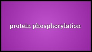 Protein phosphorylation Meaning