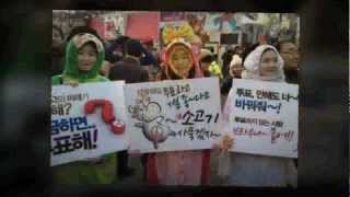 대통령선거 노무현의 부탁