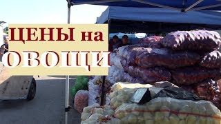 Шашлык-собакам! Мужу не наливать! Городские цены овощей,по 11 руб кукуруза