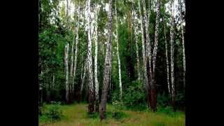 Алибек ДНИШЕВ - Любите Россию