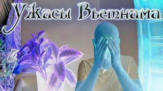 ЭТО УЖАС! | Вьетнам отзывы | Русские во Вьетнаме
