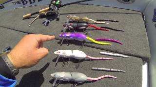 SPRO BBZ-1 Rat "Colors" Bill Siemantel