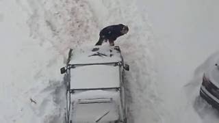 Зима даже НиВы не щадит,  или водителей нив)
