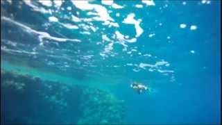 Snorkeling with GoPro Hero 1, Grand Rotana Resort & Spa - Sharm El Sheikh, Egypt